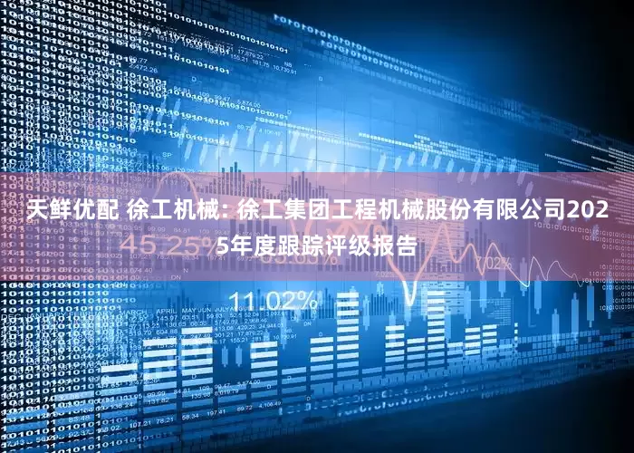 天鲜优配 徐工机械: 徐工集团工程机械股份有限公司2025年度跟踪评级报告
