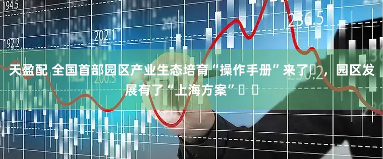 天盈配 全国首部园区产业生态培育“操作手册”来了​，园区发展有了“上海方案”​​